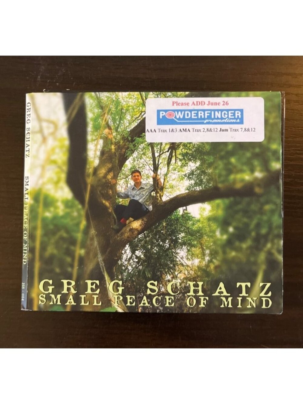 3 For $6 Greg Schatz : Small Peace Of Mind (CD, 2017) Promo Hot Spazz Records
